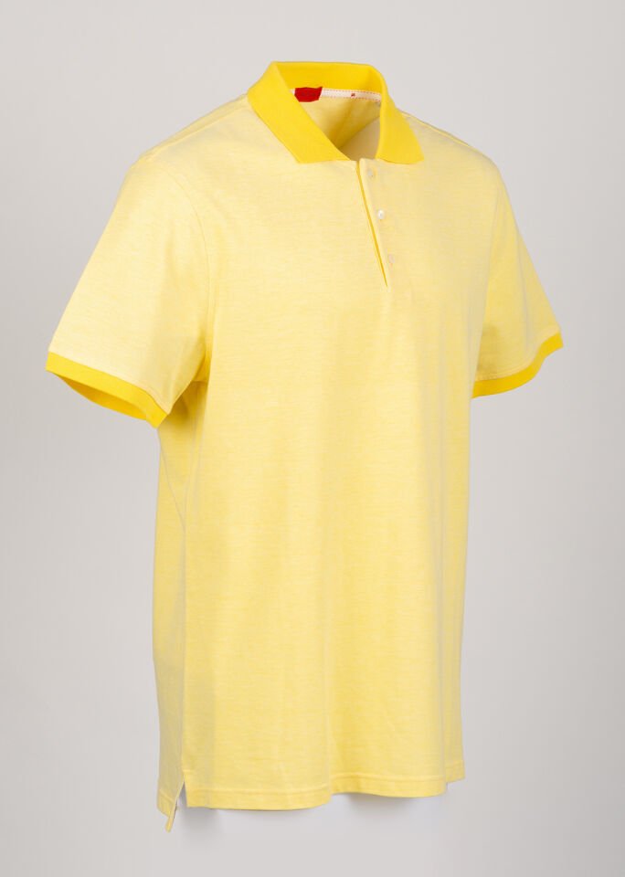 ISAIA